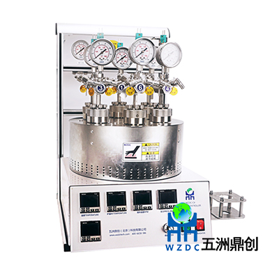 WZDS系列平行高壓反應釜